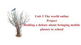 Unit 3 The world online Project 课件-高一英语牛津译林版必修第三册