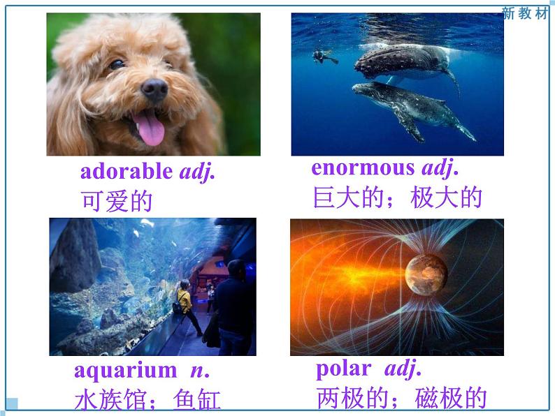 Using Language 2第5页