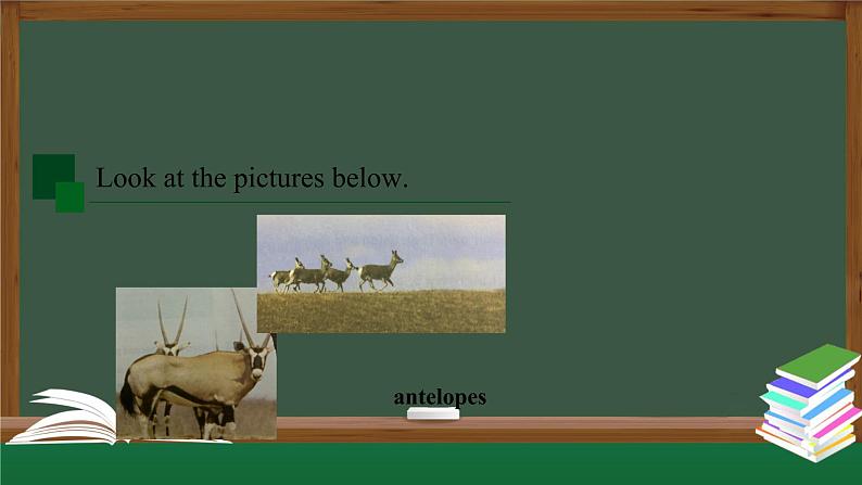 高一英语 新人教版 必修2 Unit2 Wildlife Protection Reading and Thinking(1)-课件03