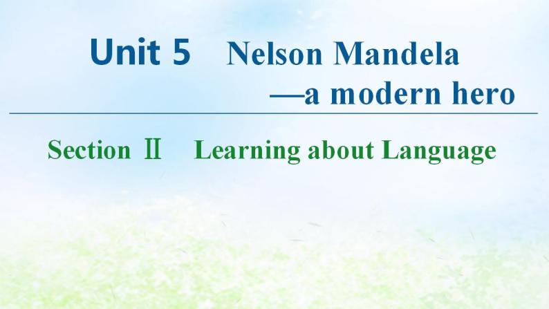 人教版高中英语必修1 Unit 5 Nelson Mandel -- a modern hero SectionⅡ Learning about Language 课件01