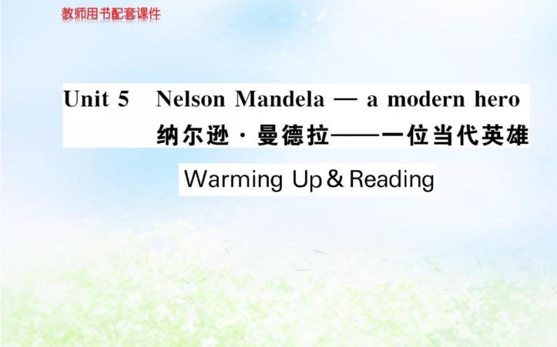 人教版高中英语必修一课件 Unit 5 Nelson Mandela—a modern hero warming up & reading01