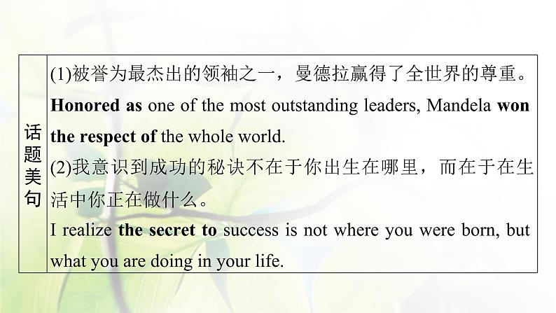 高考英语一轮总复习模块知识必修1Unit5NelsonMandela-amodernhero课件新人教版第3页