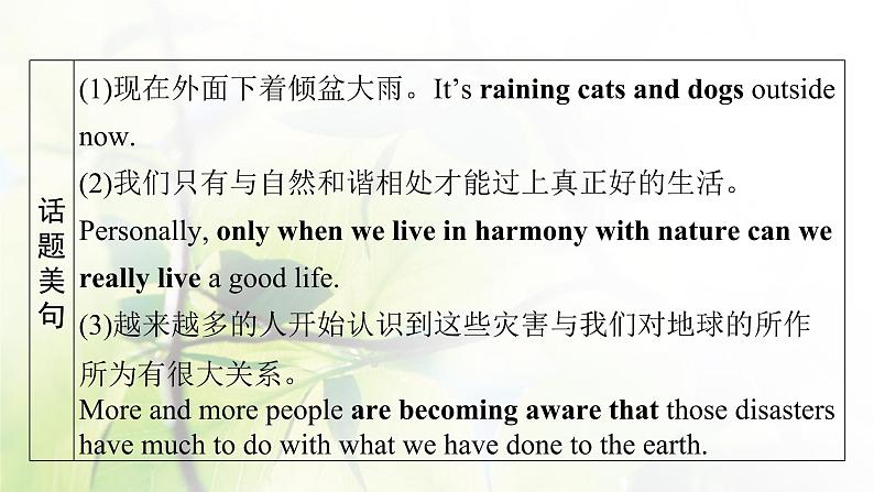 高考英语一轮总复习模块知识选修6Unit5Thepowerofnature课件新人教版03