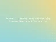 高中英语Unit3ComputersSectionⅡLearningaboutLanguageUsingLanguageSum课件新人教版必修2