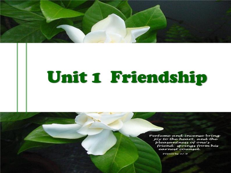 人教版高中英语必修1Unit1FriendshipWarmingup导入课课件（共16张）01