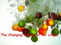 牛津上海版高中一年級(jí)第一學(xué)期Unit 6 Fun food The Changing colours of our crops課件