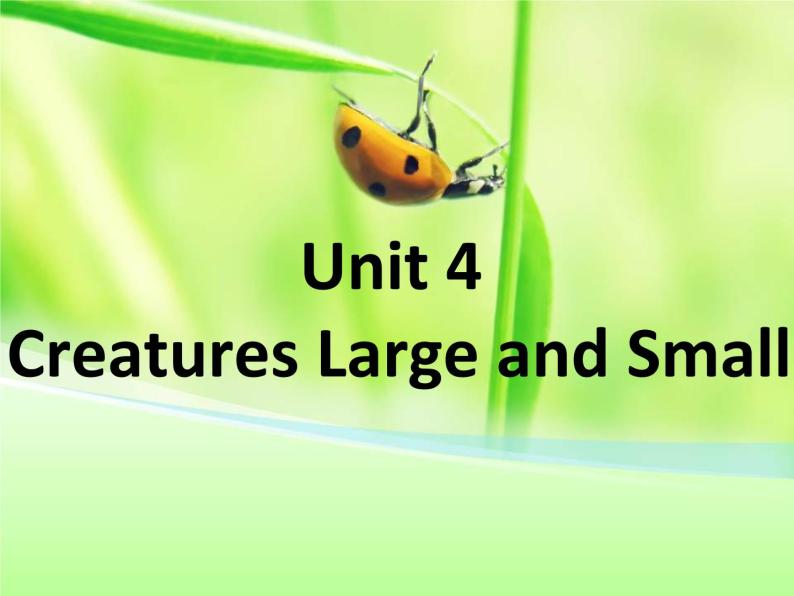 2020-2021学年牛津上海版高中一年级第二学期Unit 4 Creatures large and small 课件01
