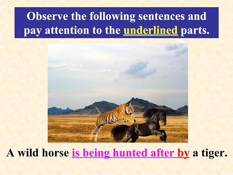 新人教版必修二Unit 2 Wildlife Protection-Discovering Useful Structures课件PPT06