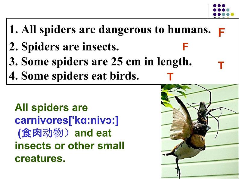 2020-2021学年牛津上海版高中一年级第二学期Unit 4 Creatures large and small reading课件06