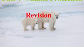 高中英语人教版 (新课标)必修1&2Unit 4 Wildlife Protection教案配套ppt课件