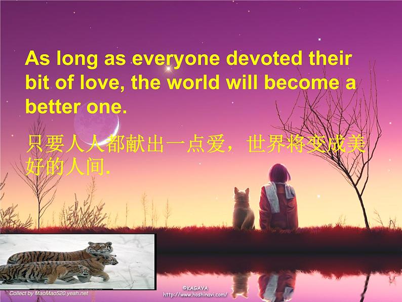 高一英语人教版必修2精选课件《Unit 4 Wildlife protection》Reading课件01