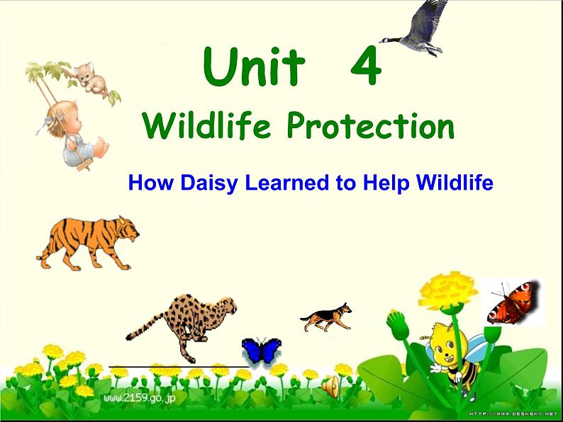 高一英语人教版必修2精选课件《Unit 4 Wildlife protection》Reading课件06