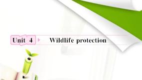 人教版 (新课标)必修1&2Unit 4 Wildlife Protection教学ppt课件
