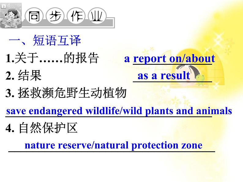英语 Unit 4 Wildlife pretectionPart 1 Warming up and Pre-reading课件(新人教版必修2)第5页