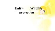 英语必修1&2Unit 4 Wildlife Protection示范课课件ppt