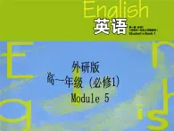 Module 5 A Lesson in a Lab Vocabulary and speaking PPT课件