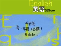 高中英语外研版必修1Module 5 A Lesson in a Lab课堂教学ppt课件