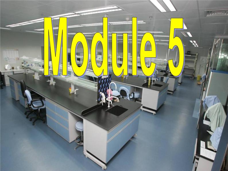 Module 5 A Lesson in a Lab Writing PPT课件02