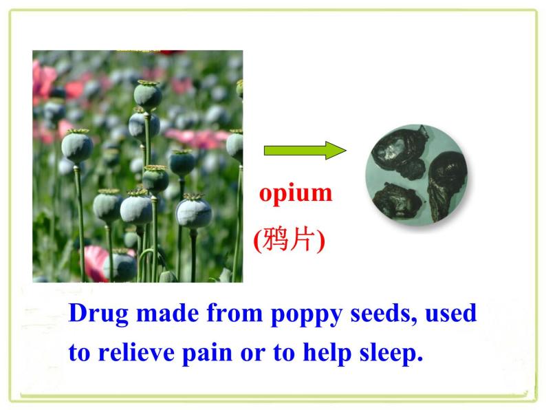 Module 2 No Drugs  Reading and vocabulary PPT课件05