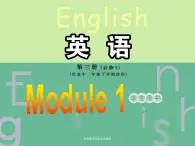 Module 1 Europe Listening,Function and Pronunciation &Everyday English PPT课件