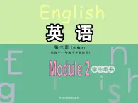 Module 2 Developing and Developed Countries Grammar PPT课件