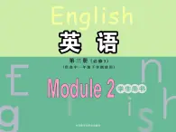 Module 2 Developing and Developed CountriesLanguage points (2) PPT课件