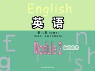 Module 2 Developing and Developed CountriesVocabulary and Listening,Vocabulary and speaking PPT课件