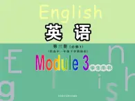 Module 3 The Violence of Nature Grammar PPT课件