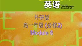 高中英语外研版必修2Module 6 Films and TV Programmes多媒体教学课件ppt