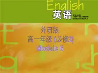 Module 6 Fillms and TV Programmes Introduction & SpeakingＰＰＴ课件