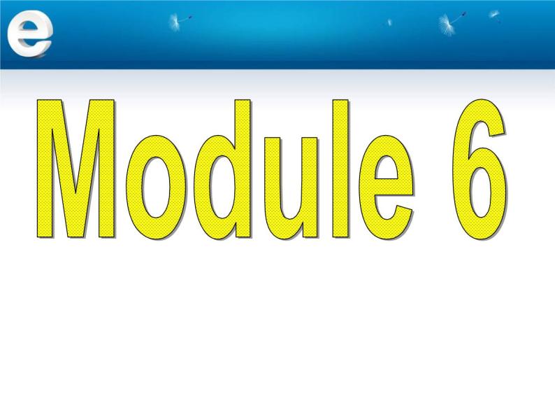 外研版 / 必修1 Module 6 The Internet and Telecommuniation Grammar 2 PPT课件02