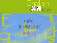 高中外研版Module 6 The Internet and Telecommunications教课课件ppt