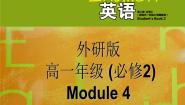 必修2Module 4 Fine Arts – Western Chinese and Pop Arts教案配套课件ppt