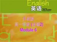 外研版 必修2  Module 6 Fillms and TV Programmes Function & Everyday English & Pronunciation & WritingＰＰＴ课件