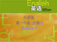 外研版 必修2  Module 6 Fillms and TV Programmes Vocabulary and ListeningＰＰＴ课件