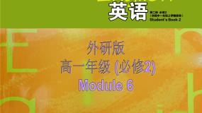 外研版必修2Module 6 Films and TV Programmes教案配套ppt课件