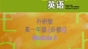 高中英语Module 6 Films and TV Programmes说课课件ppt