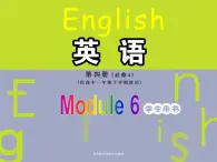 外研版英语必修4 Module 6 Unexplained Mysteries of the Natural World  Function & Grammar PPT课件