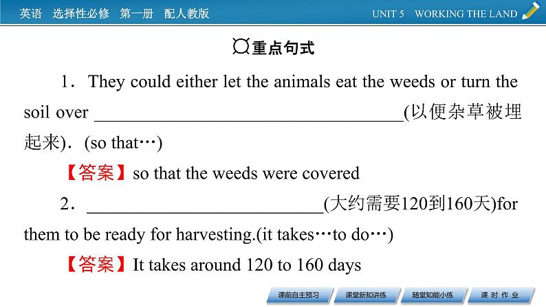 UNIT 5 Period 4第5页