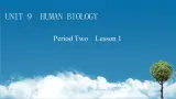 新教材北师大版选择性必修第三册 UNIT 9 Period 2 PPT课件+练习