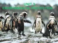 人教版 (2019)选择性必修 第三册Unit 3 Environmental Protection教学演示课件ppt