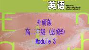 外研版必修5Module 3 Adventure in Literature and the Cinema集体备课课件ppt