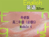 高中英语Module 4 Carnival示范课ppt课件