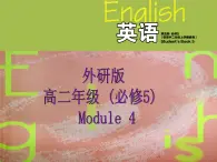 Module 4 Carnival Language points PPT课件