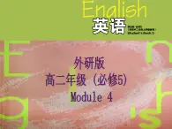 Module 4 Carnival Reading and Writing PPT课件