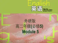 Module 5 The Great Sports Personality Grammar PPT课件