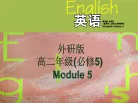 Module 5 The Great Sports Personality Language points PPT课件