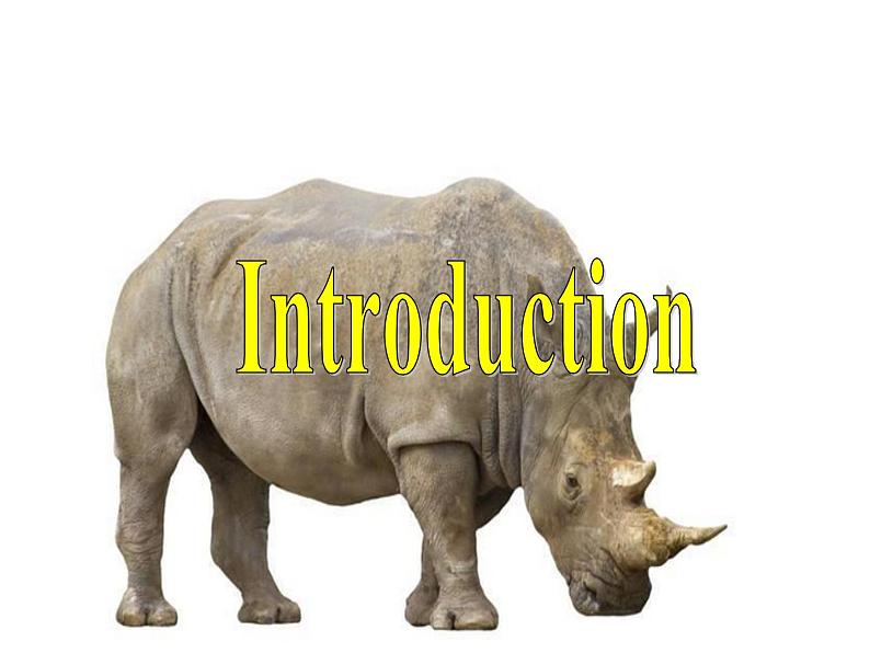 Module 6 Animals in Danger Introduction & Reading PPT课件第4页