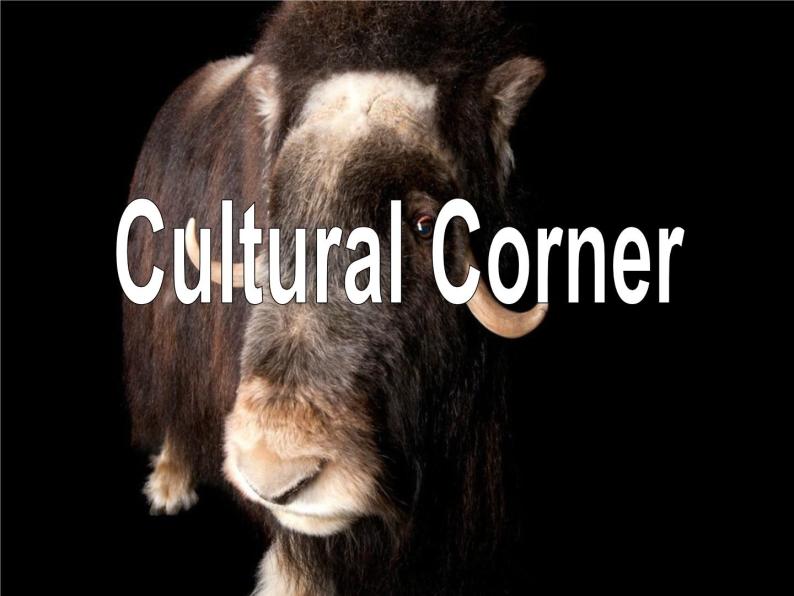 Module 6 Animals in Danger Cultural Corner PPT课件03