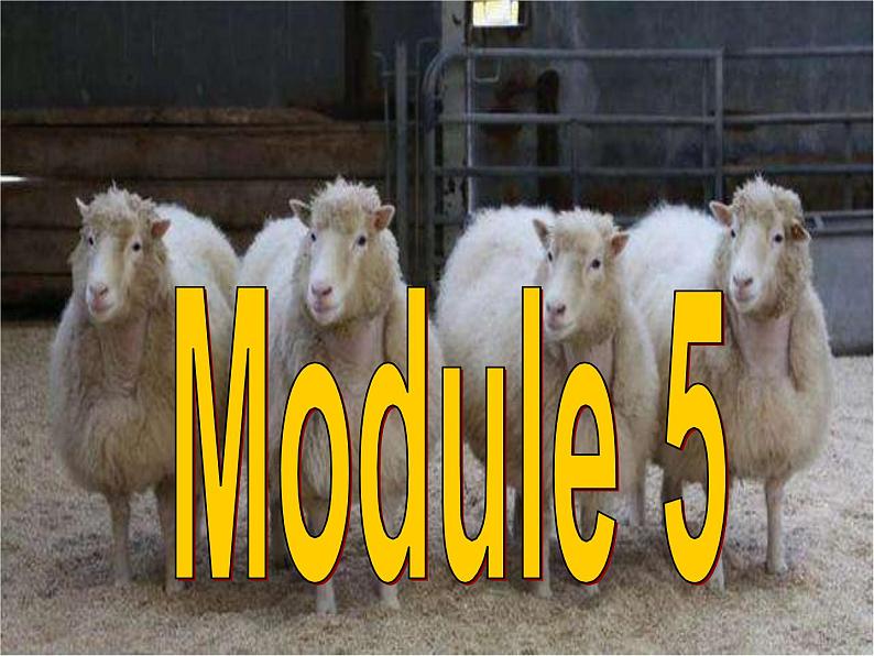 Module 5 Cloning Reading PracticePPT课件第2页
